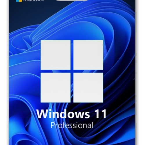  OEM Windows 11 Pro Online Aktivasyon